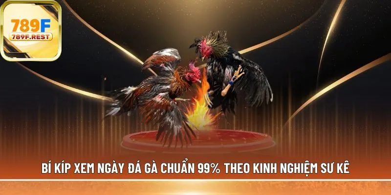 bí kíp xem ngày đá gà