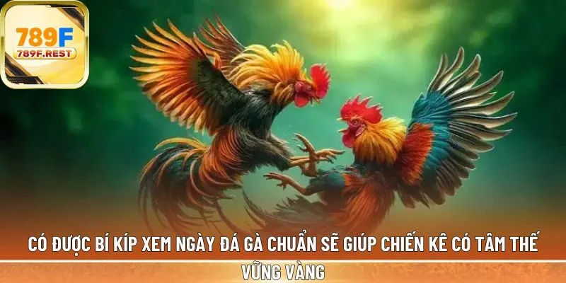 Có được bí kíp xem ngày đá gà