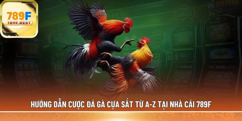 đá gà cựa sắt