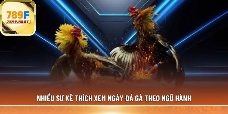 Nhiều sư kê thích xem ngày đá gà