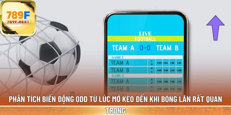 Phân tích biến động Odd