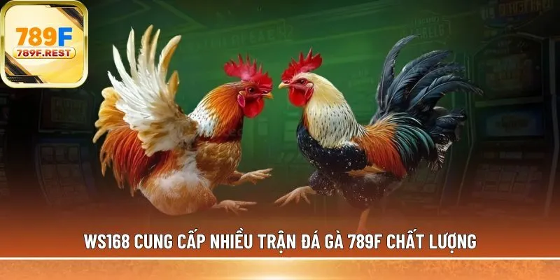 đá gà 789F chất lượng