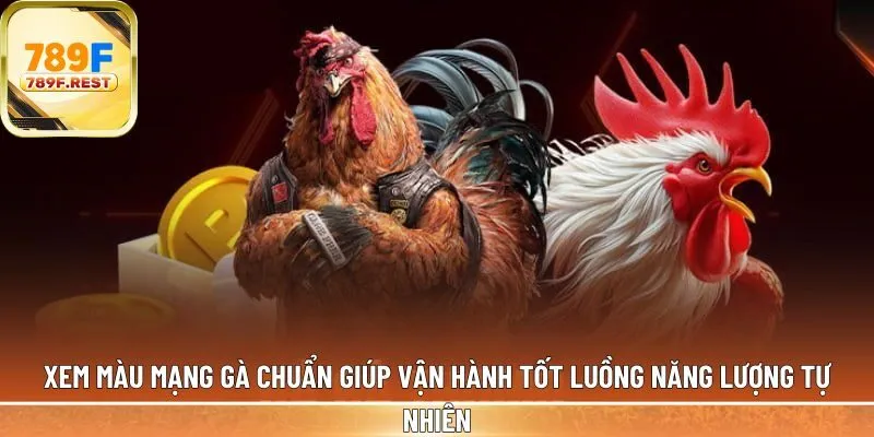 Xem màu mạng gà chuẩn